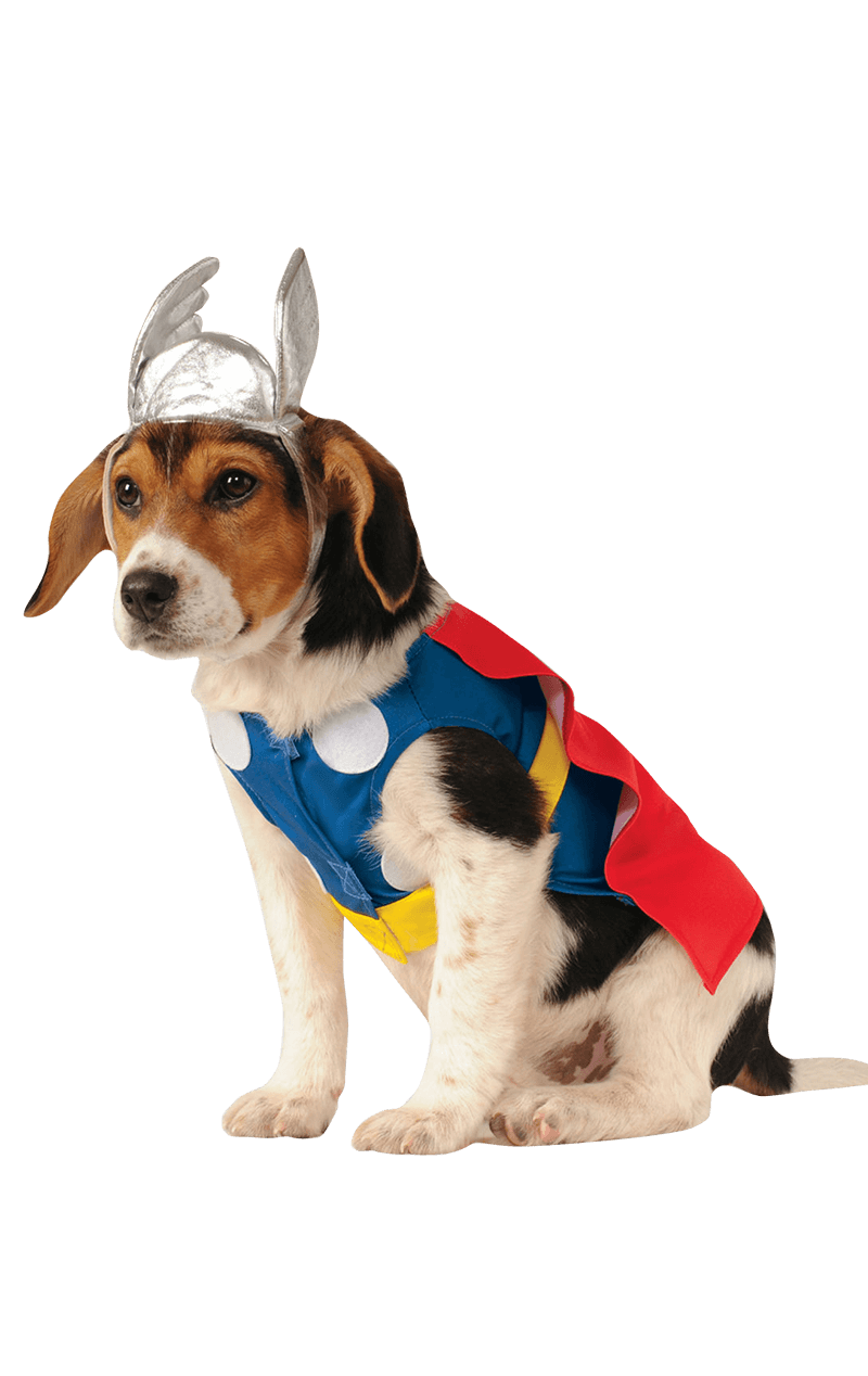 Thor Hundekostüm