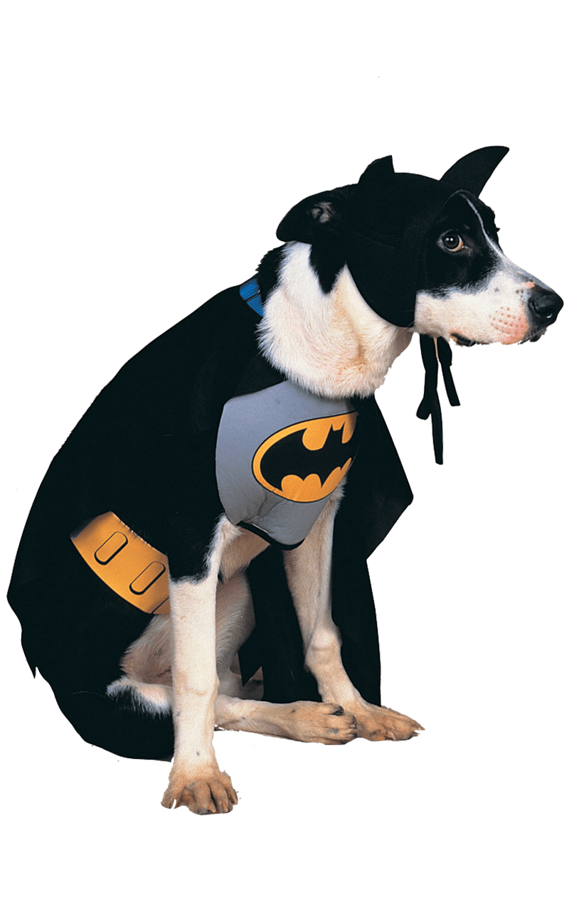 Batman-Hundekostüm
