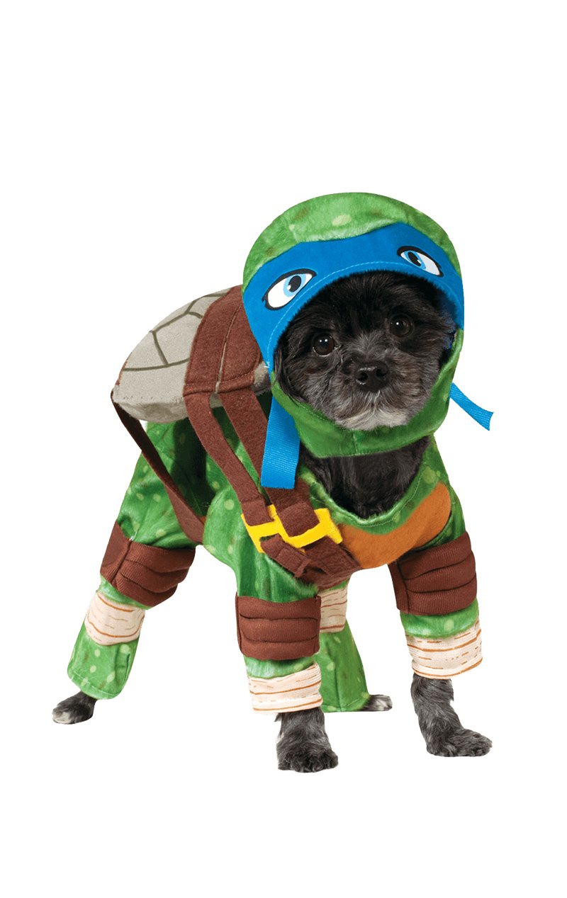 Leonardo Ninja Turtle Dog Costume - Joke.co.uk