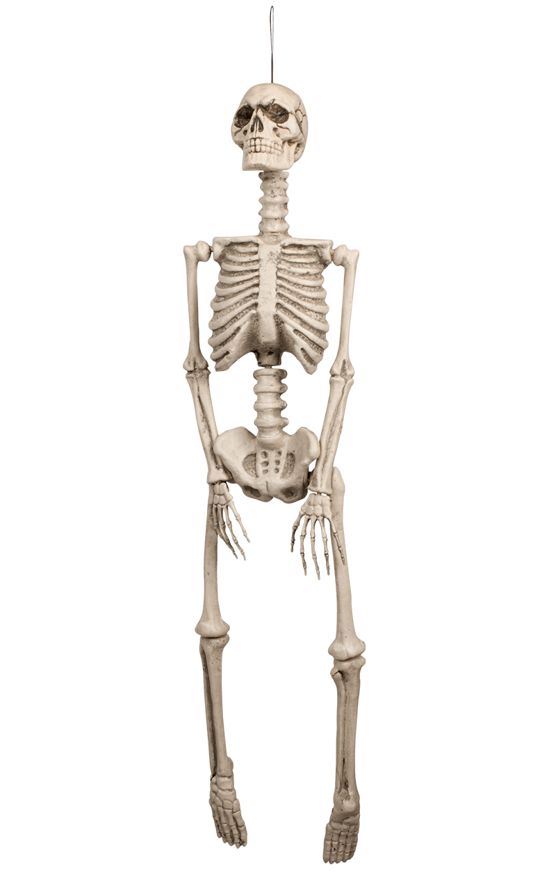 Skelett Dekoration