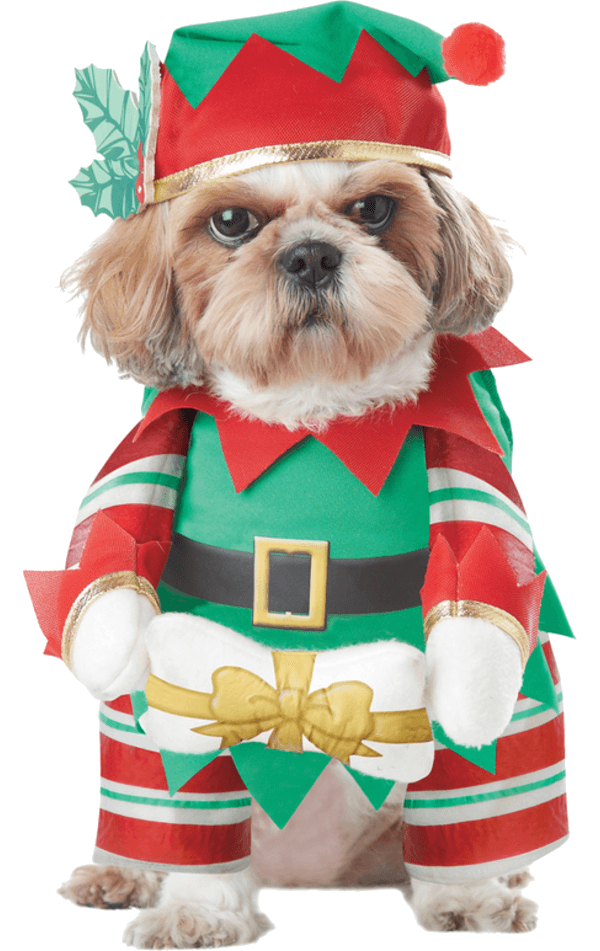Elfen-Welpen-Hundekostüm