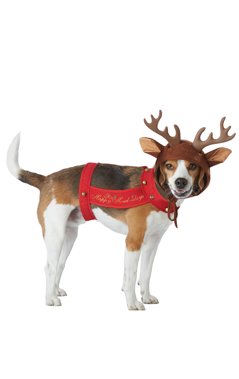 Rentier-Hundekostüm