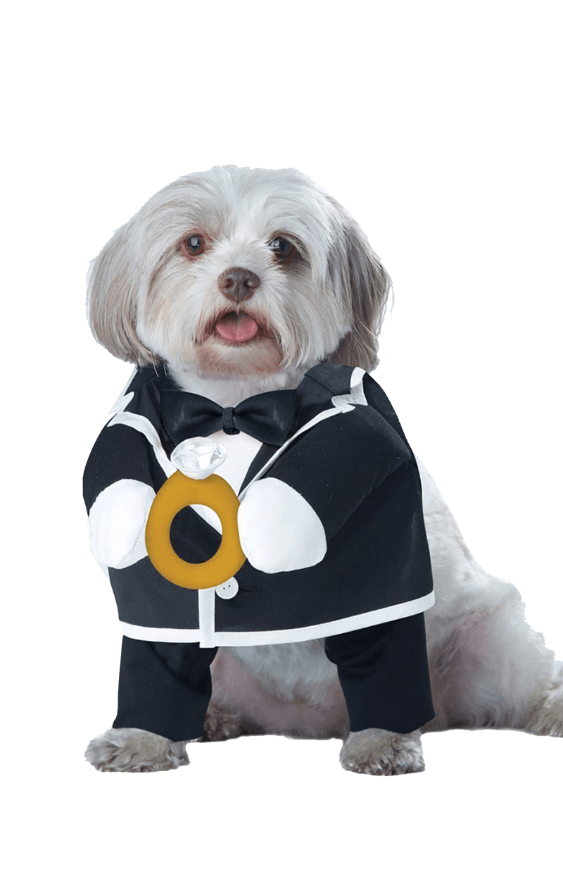 Welpen-Bräutigam-Hundekostüm