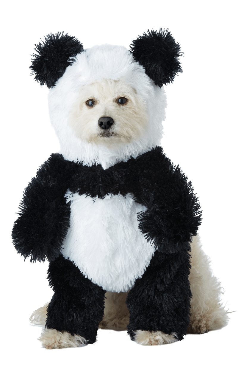 Panda Hündchen Hundekostüm