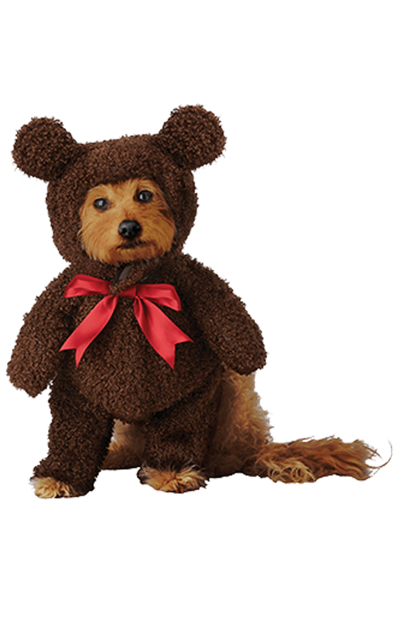 Gehender Teddybär-Hundekostüm