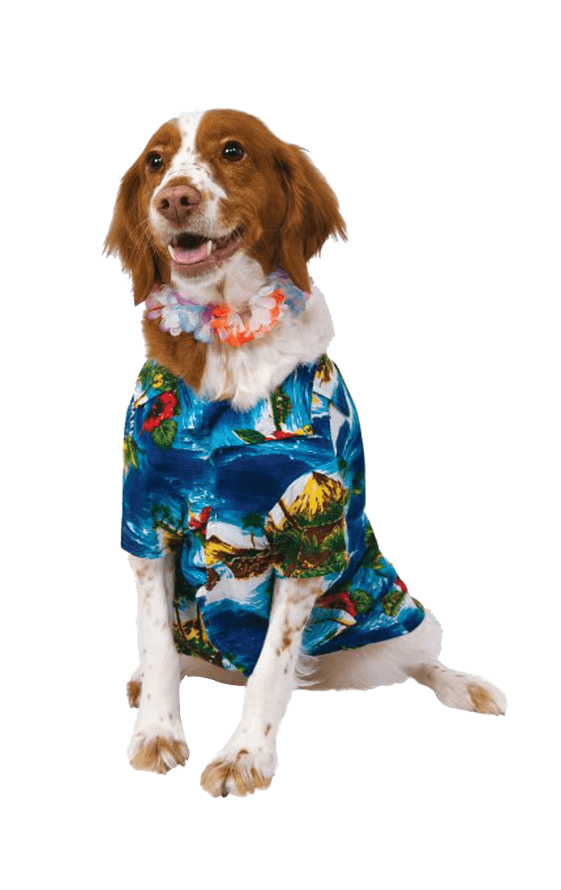 Howliday Hawaiianisches Hundekostüm