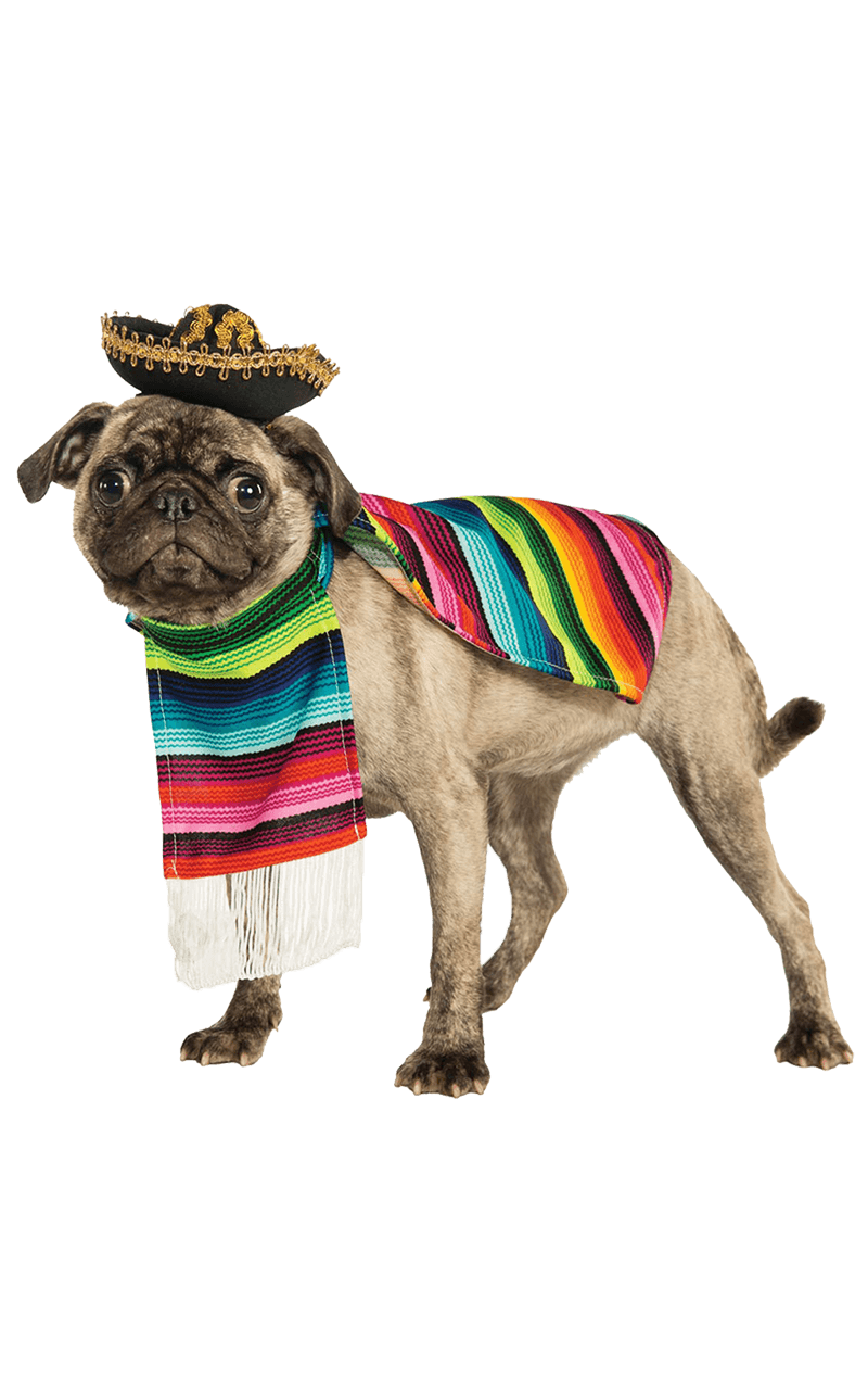 Mexikanisches Hundekostüm