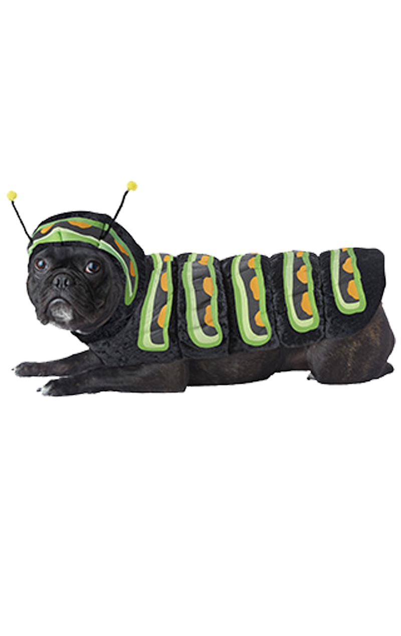 Caterpillar Hundekostüm