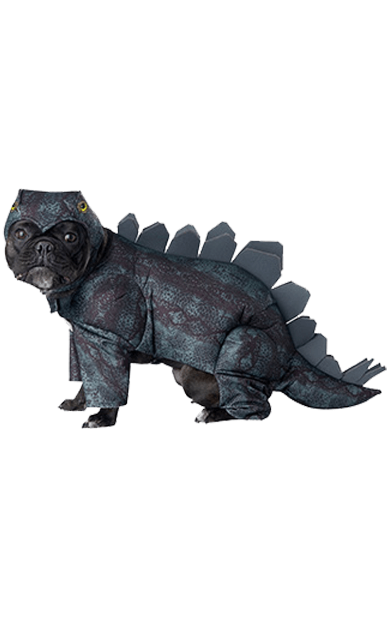 Stegosaurus-Hundekostüm