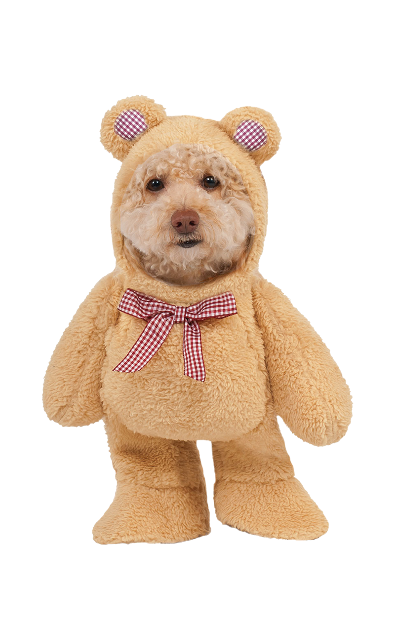 Gehendes Picknick-Teddybär-Hundekostüm