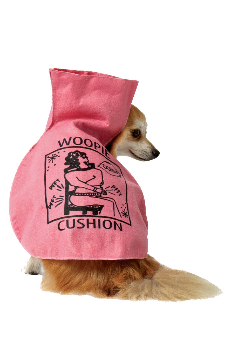 Woofie Kissen Hundekostüm