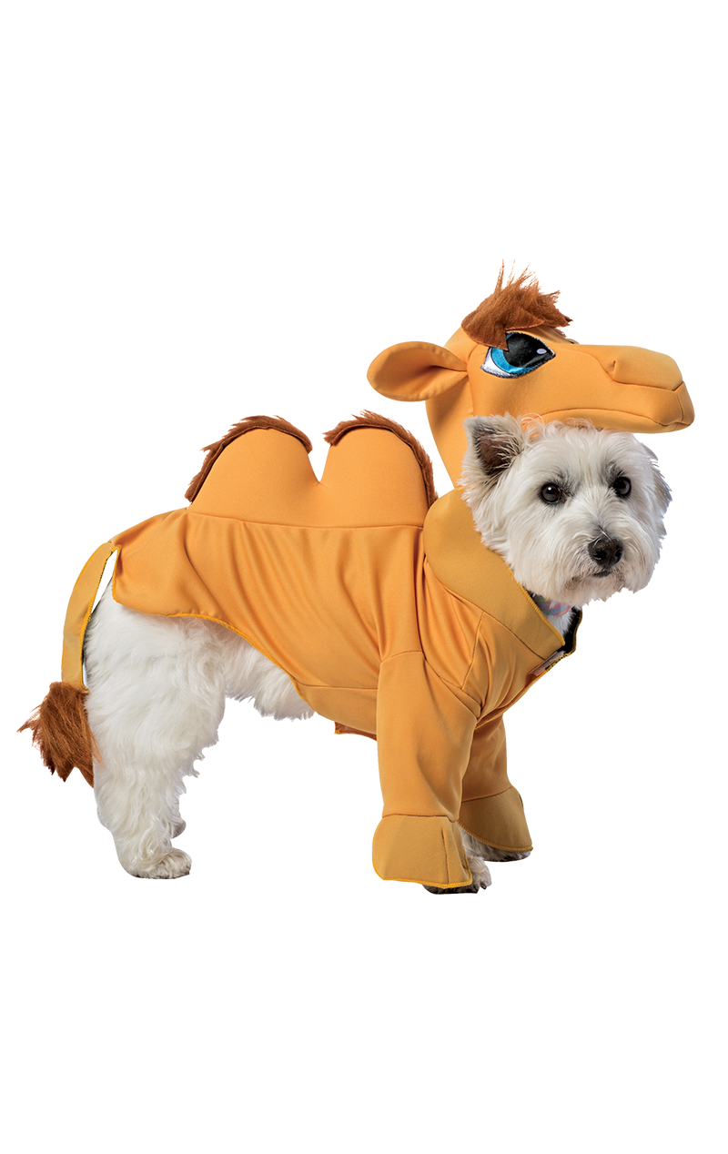 Kamel-Hundekostüm