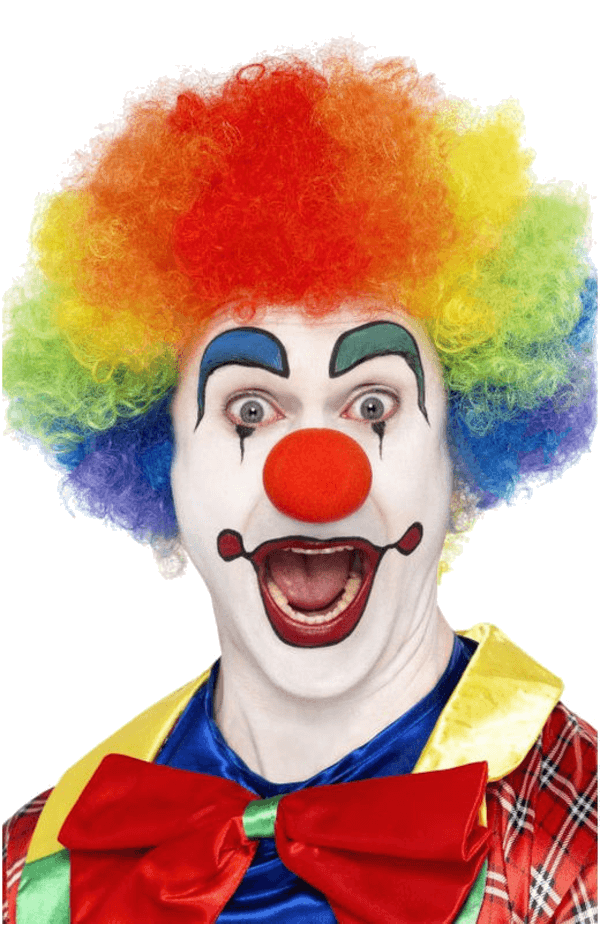 Regenbogen-Economy-Clown-Perücke
