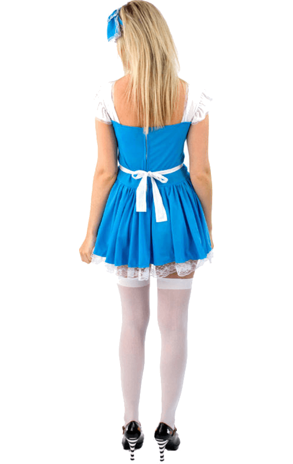 Adult Storybook Alice in Wonderland Costume