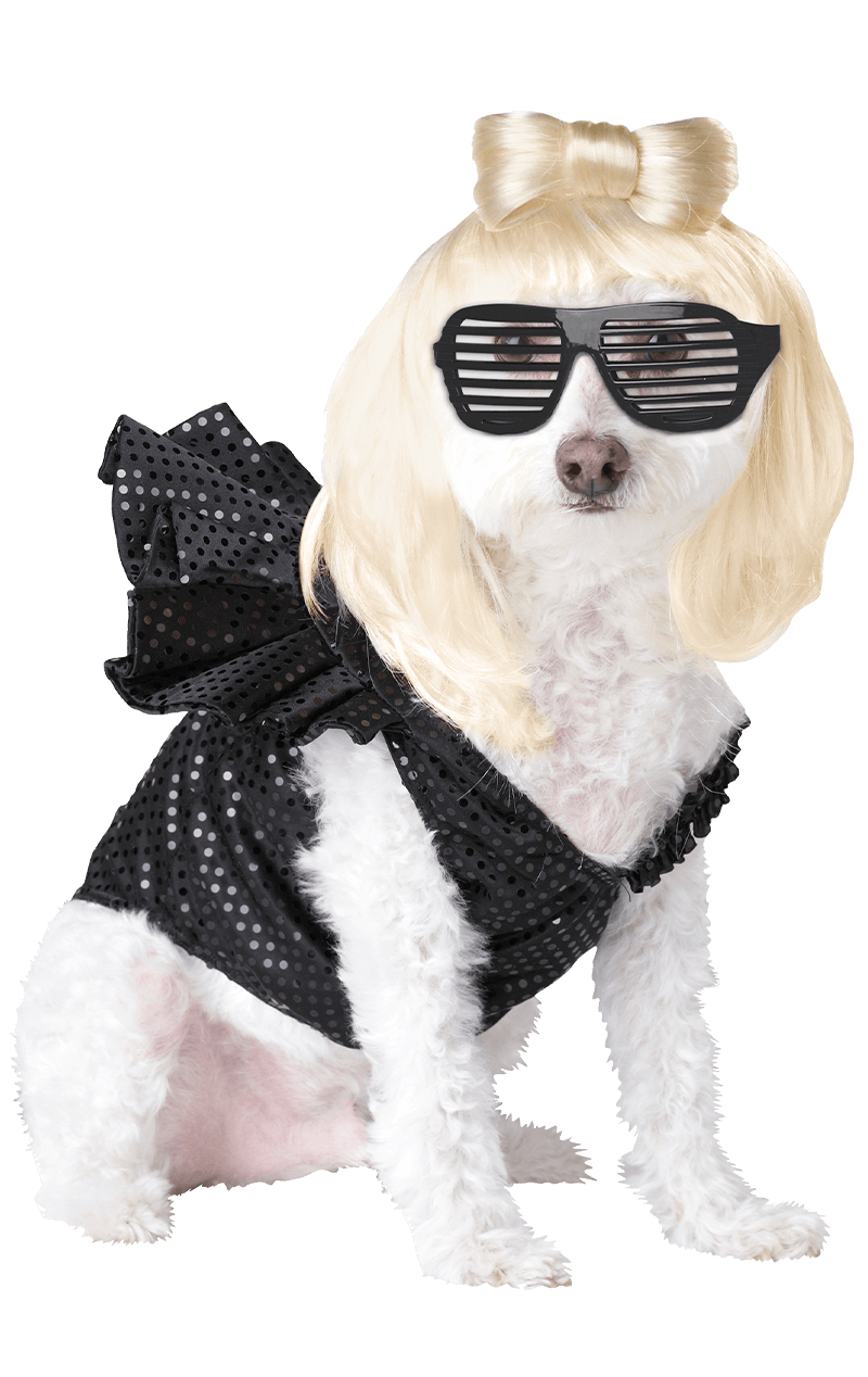 Lady Dogga Hundekostüm