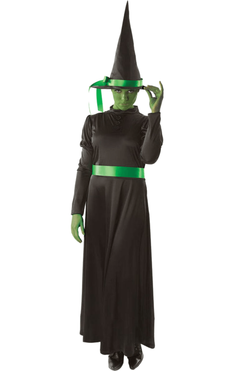 Adult Wicked Witch Halloween Costume