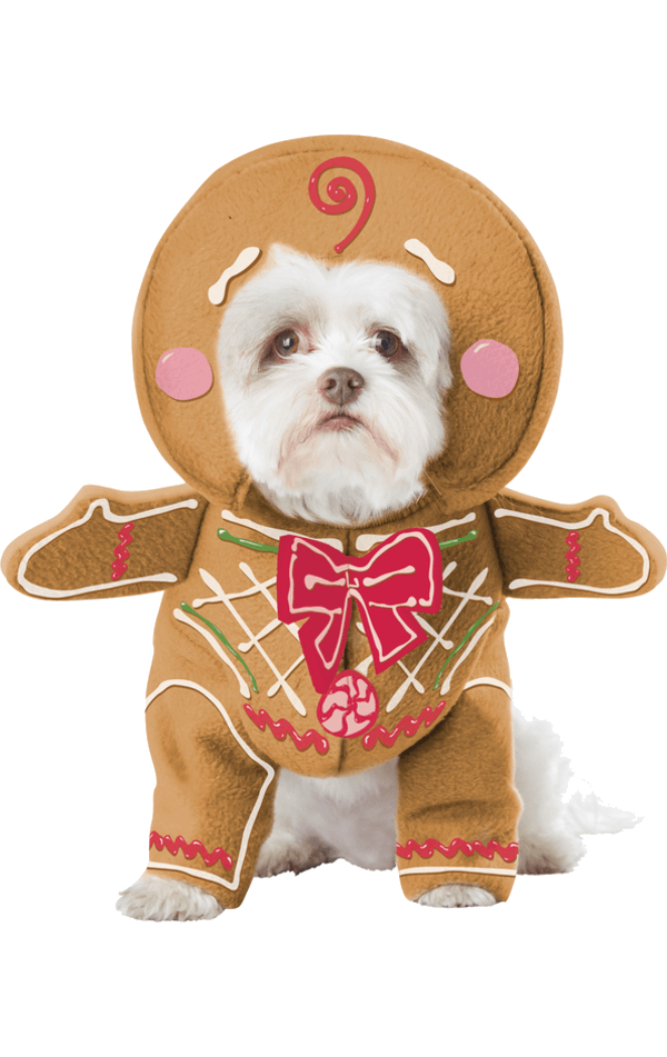Lebkuchen-Hundekostüm