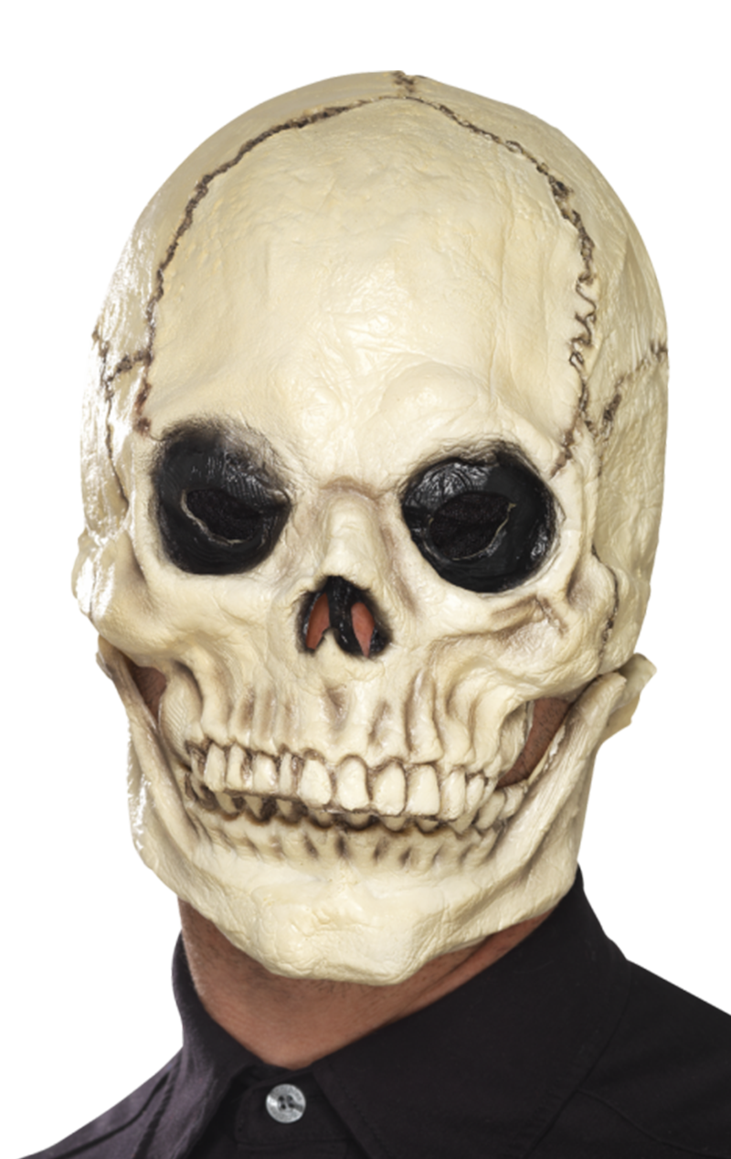 Vollständiges Skelett-Gesichtsteil
