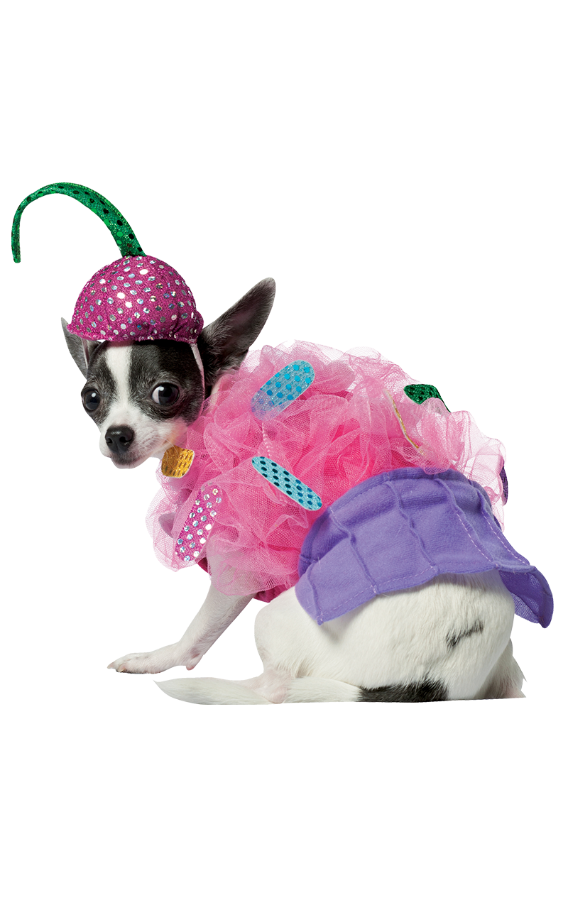 Cupcake-Hundekostüm
